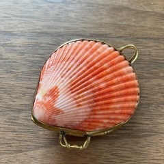 🎒 天然貝 貝殻 シェル アクセサリーケース ジュエリーケース ...