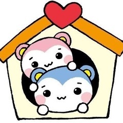 LINE オプチャ で 超北 と 検索してみよう