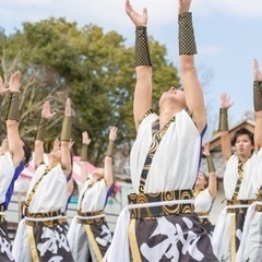 名古屋＆三河地方 よさこいダンスチーム 【一誓（いっせい）】社会人になっても青春し続けて見ませんか！？ − 愛知県