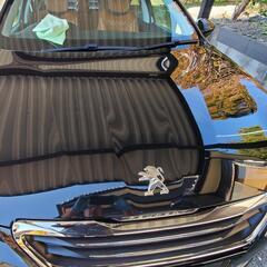 車 綺麗にしませんか？