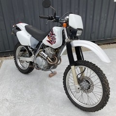 ホンダXR250