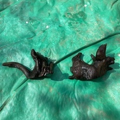 熱帯魚用流木