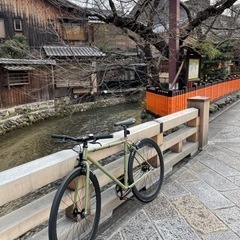 Fuji Declaration ほぼ新品 カーキ 49サイズ(XS) シングルスピード