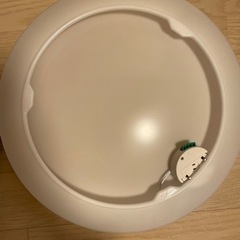 電球