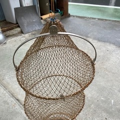 丸びくの画像