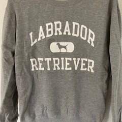 labrador retriever トレーナーの画像