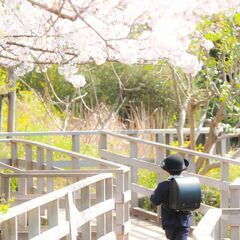 ＜３月２４日＞３組限定！【しながわ区民公園出張開催】🌸ランドセル撮影会
