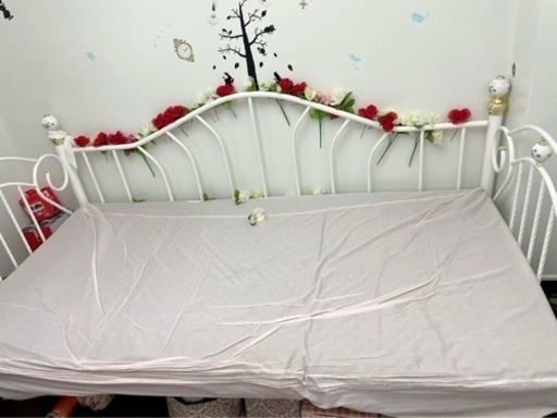 (美品)姫系ベット(3/19情報更新)(現在お取引中)