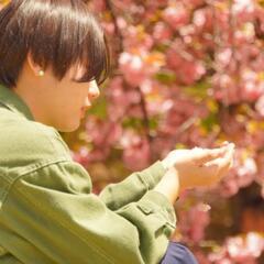 3月26日㈰ お花見💮ウォークに行きませんか😄 - 京都市