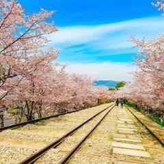 3月26日㈰ お花見💮ウォークに行きませんか😄 - 友達