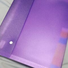 💰お宝大百科💰　先着順　A4ポケット型ファイルの画像