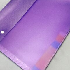 💰お宝大百科💰　先着順　A4ポケット型ファイル