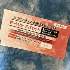 岩原&上国スキー場　共通チケット