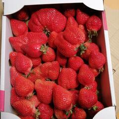 笑顔の交換ができてよかったです😁また来てね🍓💞
