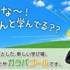 オンライン家庭教師。指導経験20年（オンライン指導歴4年）のプロ...