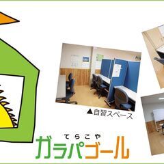 オンライン家庭教師。指導経験20年以上（オンライン指導歴8年）のプロ講師が直接指導の画像