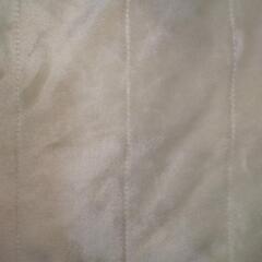 【交渉中】【300円→0円】敷きパッド(冬)セミダブルの画像