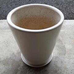13号鉢・美品