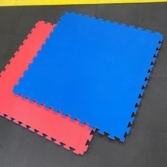 10枚セット】ジョイントマット大判在庫処分品やわらかめ空手柔術