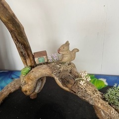 流木でリスのお家