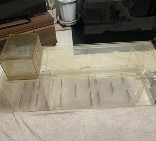 レイシーマグネットポンプ付き1200アクリル濾過槽