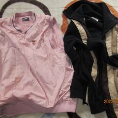 ゴルフウェア（女性用）の画像