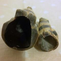 【取引済】アジアン しま猫の置物ペアの画像