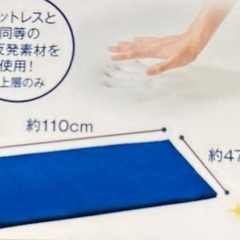 定価60%オフ　トゥルースリーパー