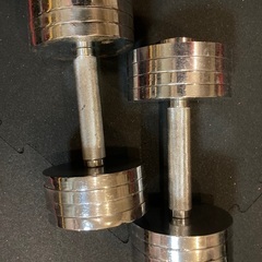 ダンベル　10㎏　2本セットの画像