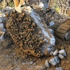 家などの解体一緒にどうですか？😊の画像