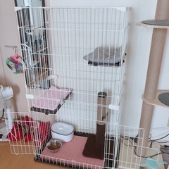 (購入者決まりました)ペットゲージ＊ネコ