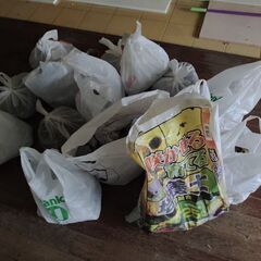 コードレス電話（親機、子機）+土の画像