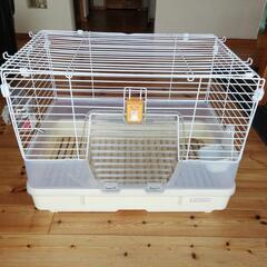 うさぎ　ゲージ