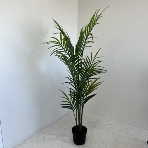 大型観葉植物　フェイク