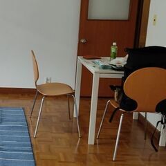 ダイニングテーブル、イス２脚セット、お譲りします。