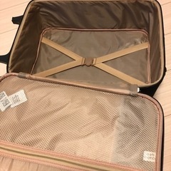 キャリーケース　二輪