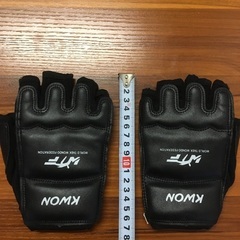 格闘技用グローブ（女性サイズ）
