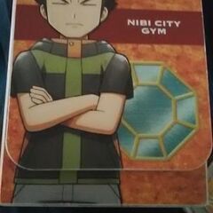 ポケモンカードお楽しみ箱【タケシ】