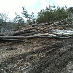 薪用に！！　軽トラ一杯　の画像