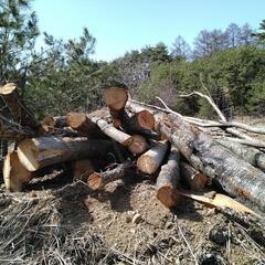 薪用に！！　軽トラ一杯　の画像