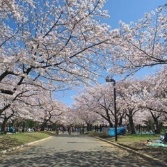 3/20 12:00〜 代々木公園でピクニック♪  