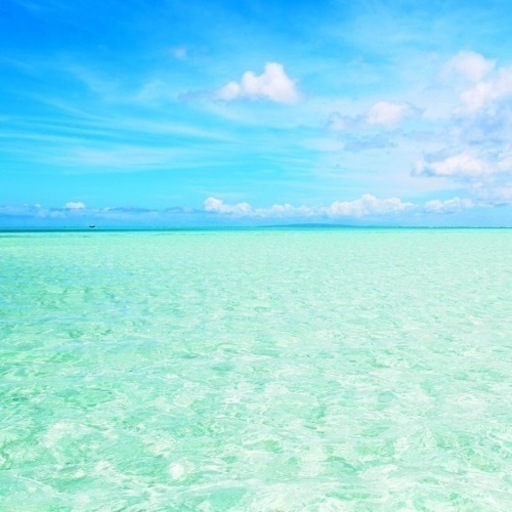 【短期着用のみ】