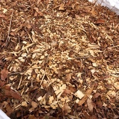 ウッドチップの画像