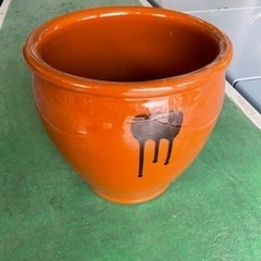 ツボ？鉢植え？