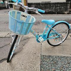 子供用自転車22インチ　ブリジストン　エコパル