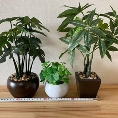 観葉植物　フェイクグリーンセットの画像