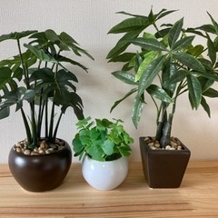 観葉植物　フェイクグリーンセット