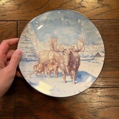 VOLVO プレートの画像