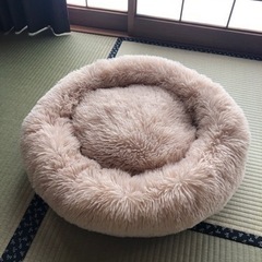猫のベッド