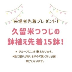 【4/1〜30】大善寺つつじまつりを開催！お値打ちな価格で久留米つつじを手に入れよう☆ − 福岡県
